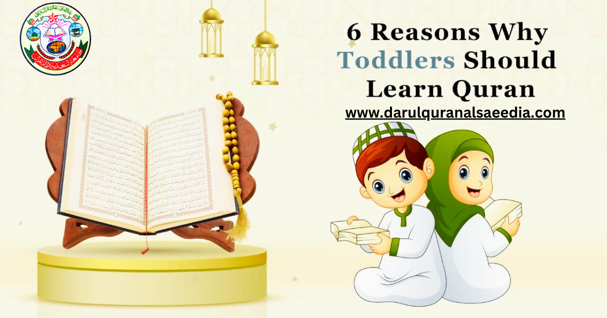 Why Toddlers (3 To 6 Years Old)