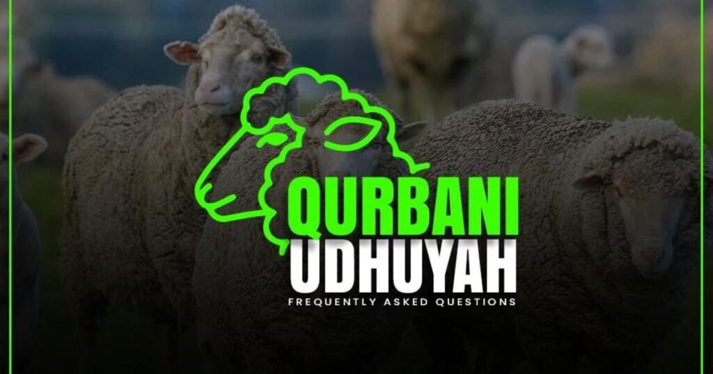 Qurbani Or Udhiyah In Islam