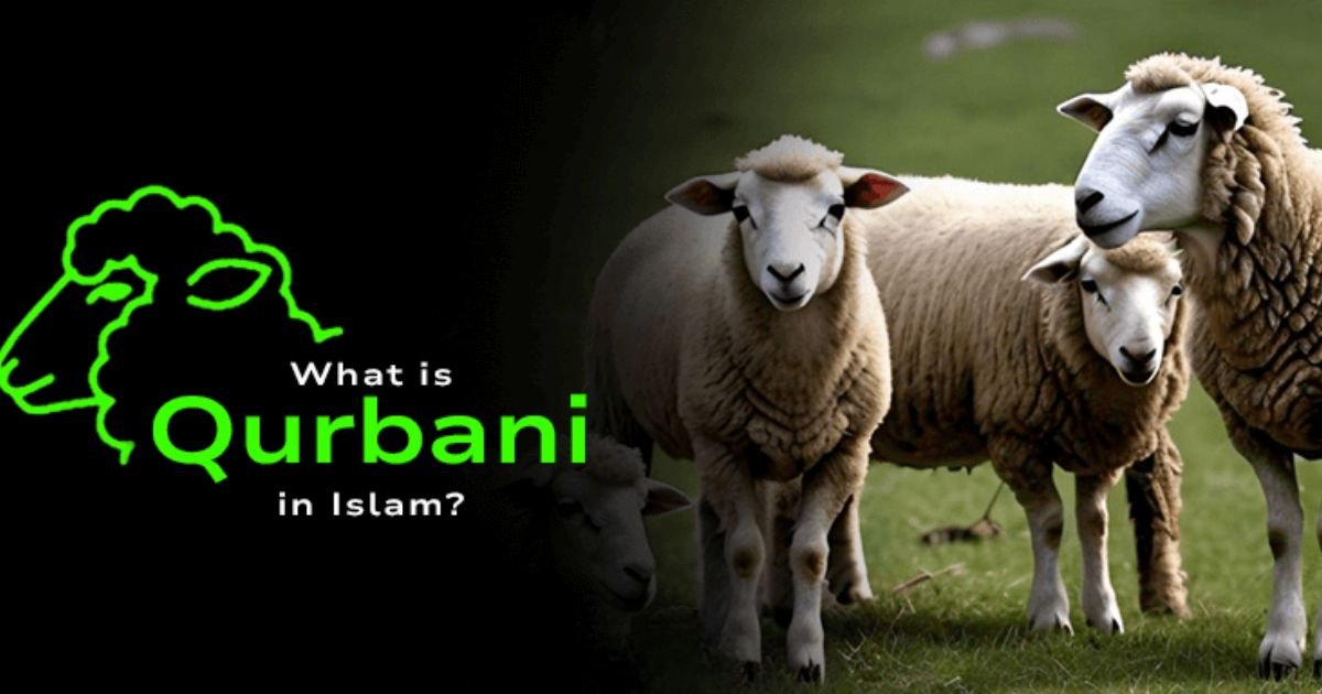 Qurbani Kya Hai